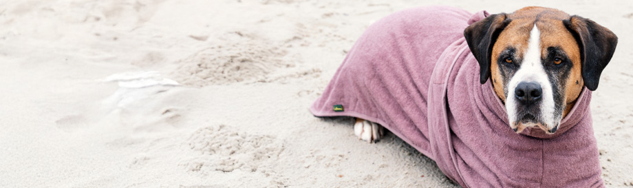 Neuheiten in der Kategorie Hundebekleidung
