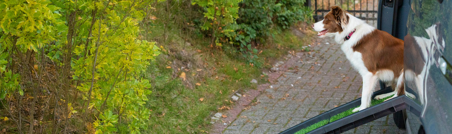 Neuheiten in der Kategorie Unterwegs mit Hund