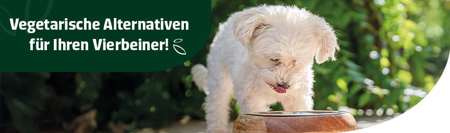 Pflanzliches Hundefutter bei alsa