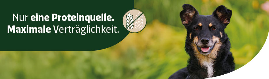 Hundefutter Single-Protein