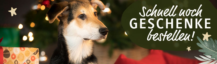 Last Minute Geschenkideen