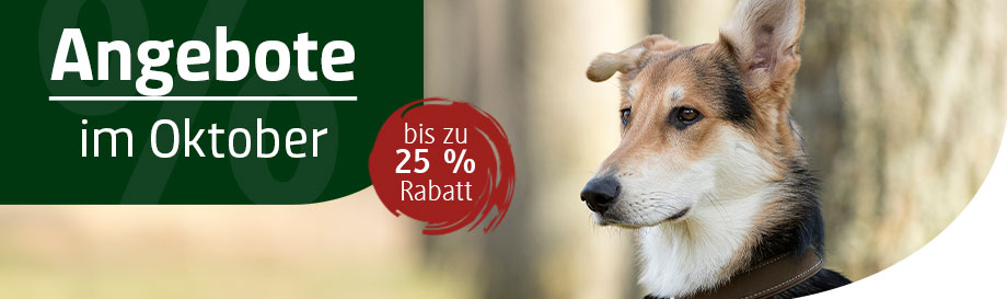 Hundefutter im Angebot