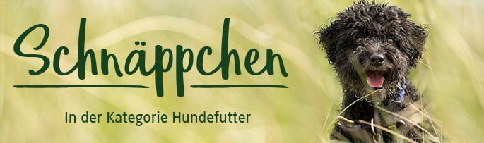 Schnäppchen