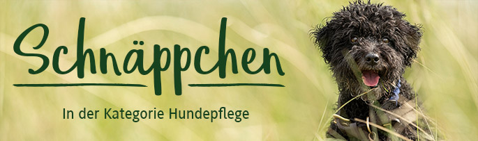 Schnäppchen