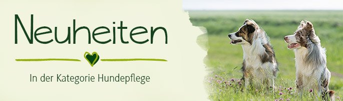 Neuheiten