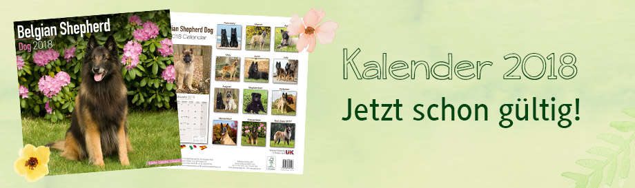 Schnäppchen