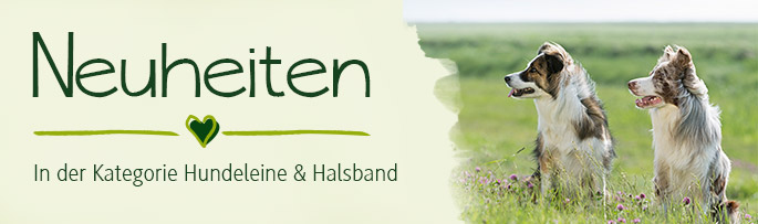 Neuheiten
