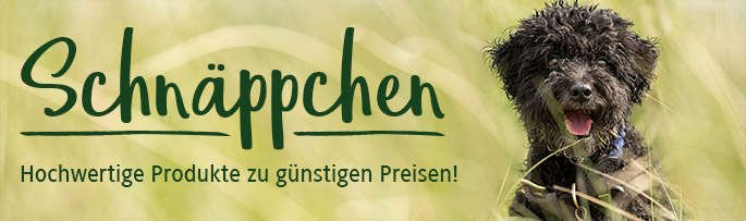 Schnäppchen