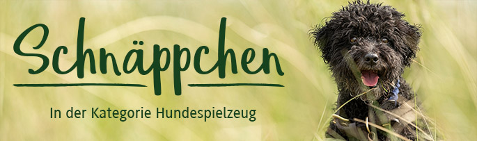 Schnäppchen
