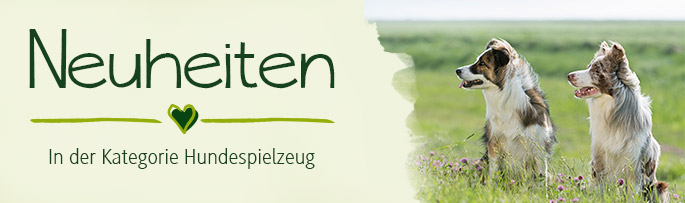 Neuheiten