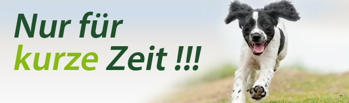 Nur für kurze Zeit!
