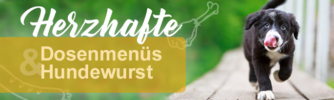 Hier finden Sie reduziertes Hundefutter für Ihren Liebling: Abwechslungsreiche Dosenmenüs und leckere, gesunde Hundewurst laden zum Genießen ein. Herzhafte Dosenmenüs und Hundewurst