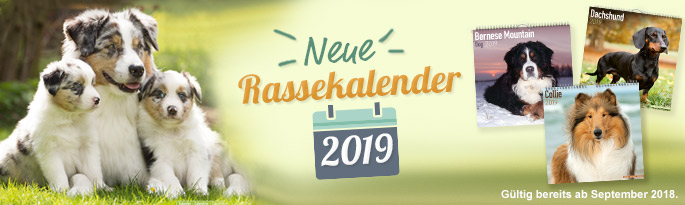 Finden Sie Ihren Liebling: Die frisch eingetroffenen Rassekalender 2019 zeigen die schönsten Motive verschiedener Hunde – gültig bereits ab September 2018. Neue Rassekalender 2019