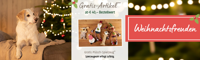 Stöbern Sie durch unser festliches Sortiment! Weihnachtsfreuden