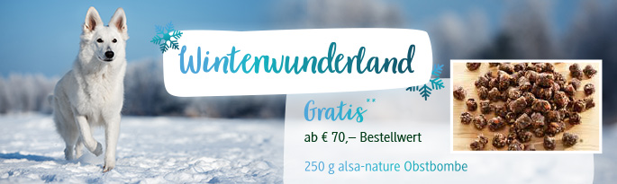 Entdecken Sie Top-Angebote im Februar. Winterwunderland