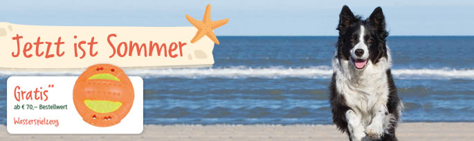 Entdecken Sie nützliche Produkte für den Sommer! Jetzt ist Sommer