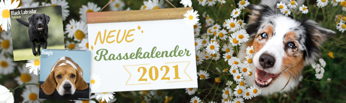Die neuen Hundekalender 2021 sind da! Finden Sie Ihre persönliche Lieblingsrasse. Rassekalender 2021