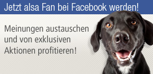 Jetzt alsa Fan bei Facebook werden