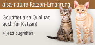 Katzen-Ernährung