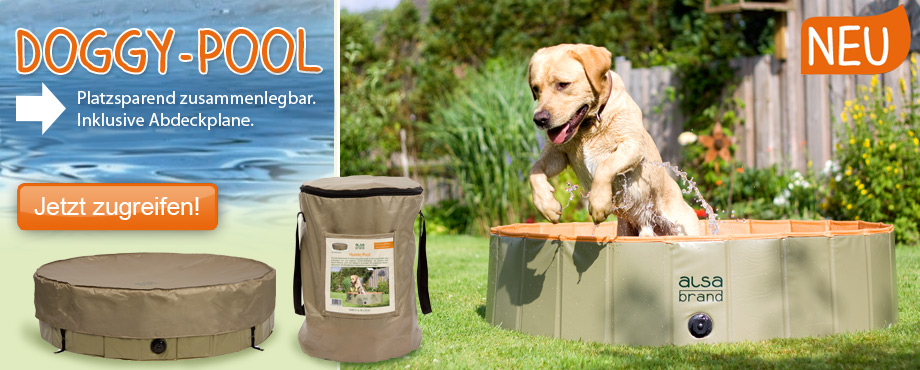 Doggy-Pool