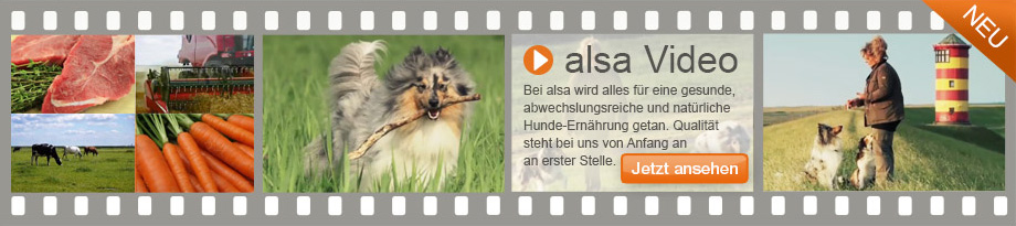 Naturgesunde Ernährung für Ihren Hund vom Dosenfutter in Super-Premium-Qualität bis zu Leckerlis und hochwertigem Trockenfutter finden Sie in unserem Online-Shop. Unsere Eigenmarken sind artgerecht und natürliches Hundefutter mit einem hohen Fleischanteil. Neben Futterangeboten finden Sie auch Leinen, Halsbänder, Hundekörbchen, Hunde-Spielzeug, Jacken und weiteres Zubehör. Sie möchten alsa kennenlernen? Dann schauen Sie sich unser Firmen-Video an.