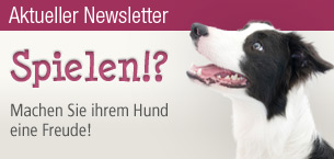 Aktueller Newsletter: Spielen!?