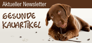 Aktueller Newsletter: Gesunde Kauartikel für anspruchsvolle Hunde