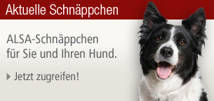 ALSA-Schnäppchen