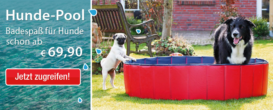 Hunde-Pool
