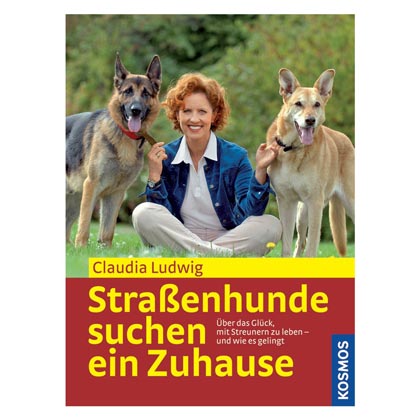 Strassenhunde suchen ein Zuhause