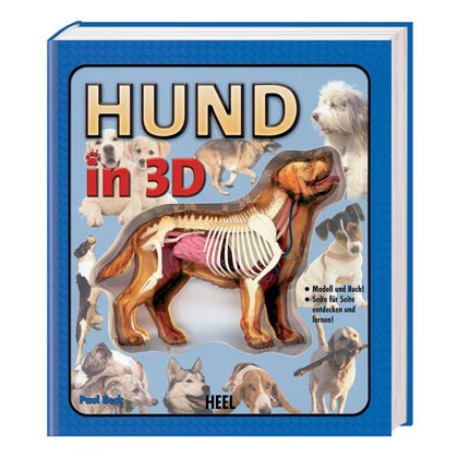 Hund in 3D