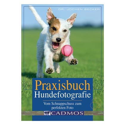 Praxisbuch Hundefotografie