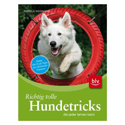 Hundetricks