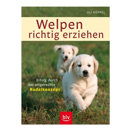 Welpen richtig erziehen