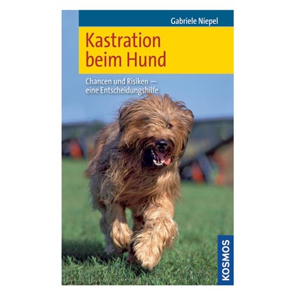 Kastration beim Hund
