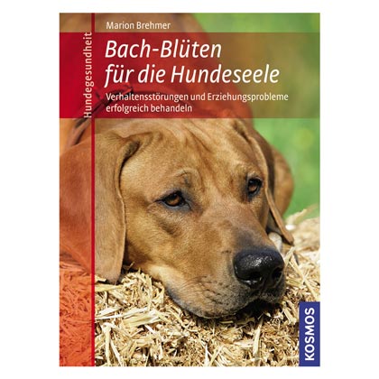 Bachbl&uuml;ten f&uuml;r die Hundeseele