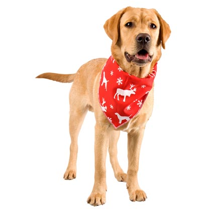 alsa-brand Hunde-Halstuch "Xmas"