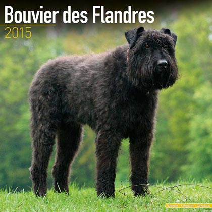 Kalender 2010 "Bouvier"