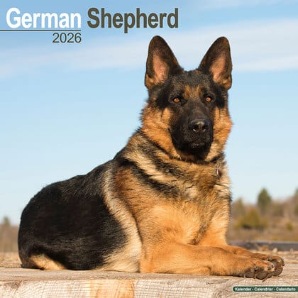Kalender 2010 "Deutscher Sch&auml;ferhund"