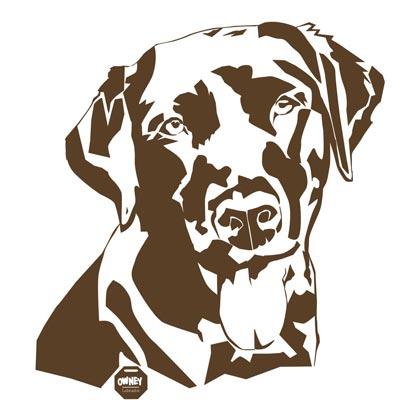 OWNEY T-Shirt "My Favourite", women Labrador