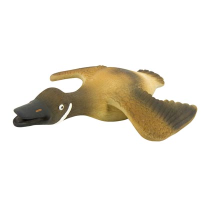 Latex-Ente "Quaky"