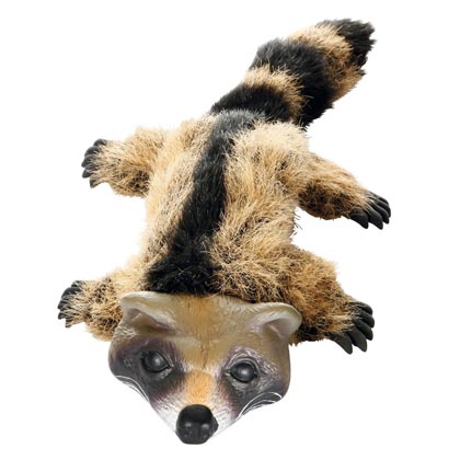 Pl&uuml;sch-Waschb&auml;r "Raccoon"