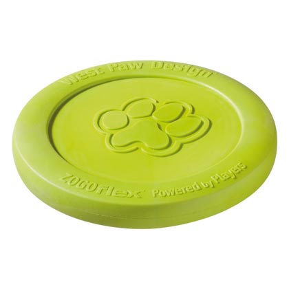 Frisbee "Zish"