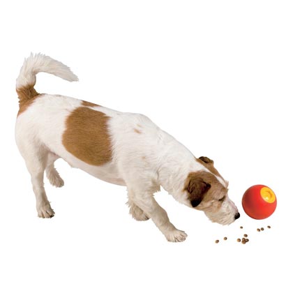 Snackball "Robbo Dog"