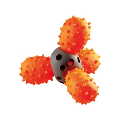 Snack-Kaktus "Noppy"