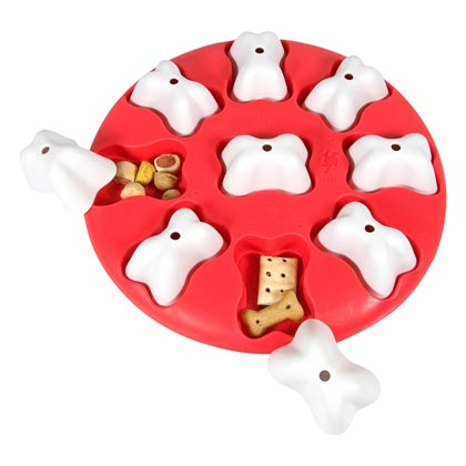 Interaktiv-Spiel "Dog Smart Poly"