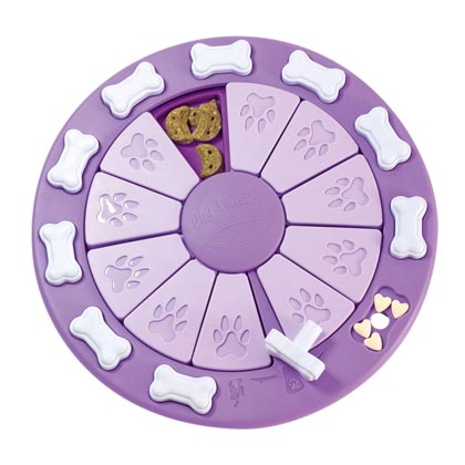 Interaktiv-Spiel "Dog Twister Poly"
