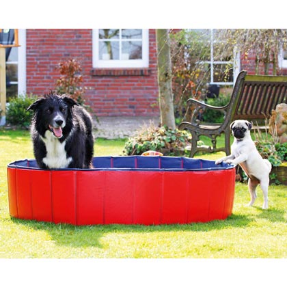 Hunde-Pool