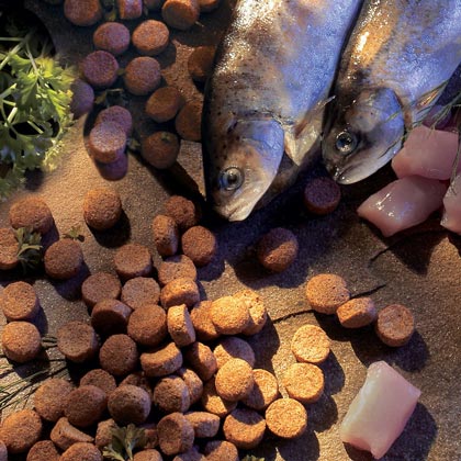 alsa-nature Fisch & Huhn