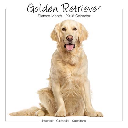 Studio Kalender 2012 "Golden Retriever"